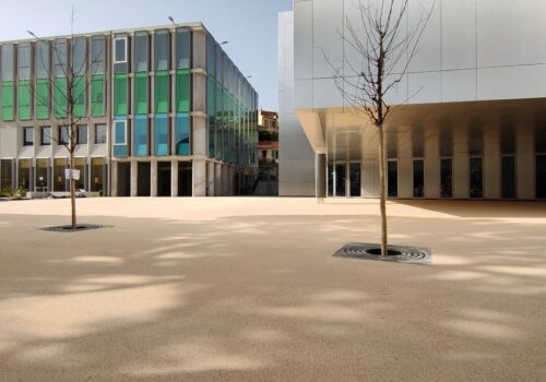 06_-_NICE_-_Collège_Simone_Veil_-_2021_-_2900m__-_Gontéro_1