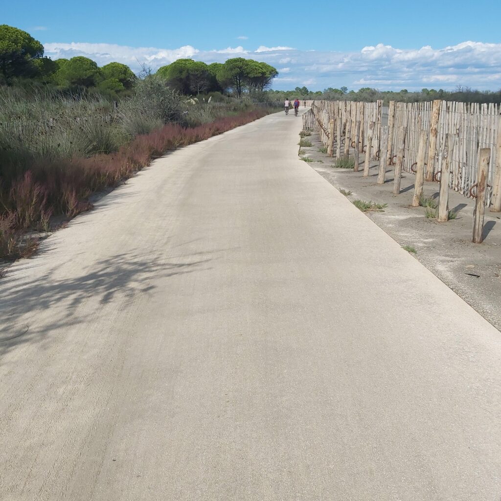 Piste cyclable Phare de l'Espiguette